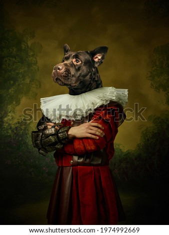 King. Model like medieval royalty person in vintage clothing headed by dog head on dark vintage background. Concept of comparison of eras, artwork, renaissance, baroque style. Creative collage.