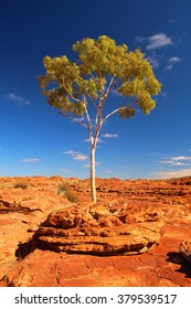 Kings Canyon, Australia