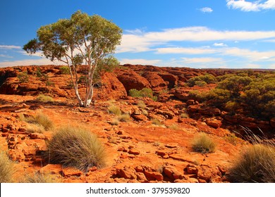 Kings Canyon, Australia