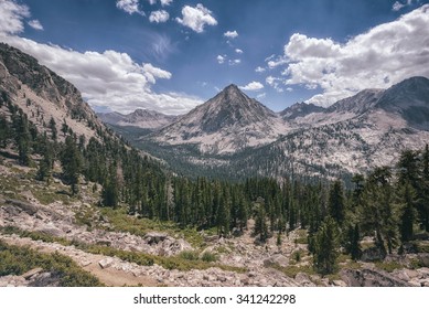 Kings Canyon National Park Landscape