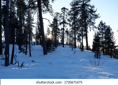 Kings Canyon National Park In Winter.