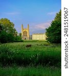 Kings College in Cambridge UK with meadow and cows