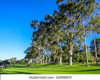 Kings Park, Perth WA