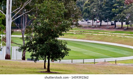 The King's School Oval, Pennant Hills Road, North Parramatta, New South Wales, Australia On 22 July 2019  (Private, Anglican, Day And Boarding School For Boys)                             