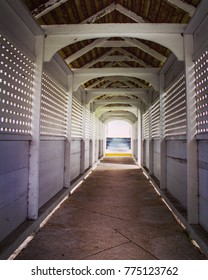 Kingsley Plantation Passage