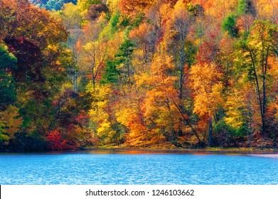 281 Kingsport tennessee Images, Stock Photos & Vectors | Shutterstock