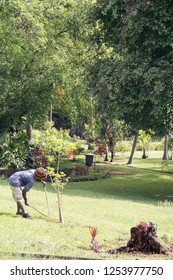 Kingstown The St Vincent And The Grenadines: The Botanical Gardens Is Located In Kingstown City  On December 7, 2017