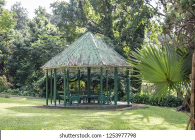 Kingstown The St Vincent And The Grenadines: The Botanical Gardens Is Located In Kingstown City  On December 7, 2017