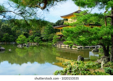 Kinkakuji Golden Pavillion Kyoto Japan In Sunshine Day