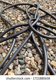 Kinked, Twisted, And Knotted Black Garden Hose On Rock