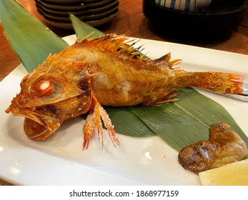 Kinki Fish Hd Stock Images Shutterstock