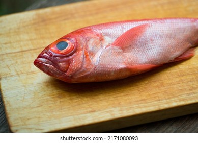 Kinmedai, Japanese Fresh Whole Red Snapper