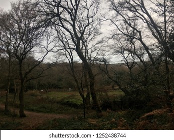 Kinver Edge Rock Houses