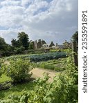 Kipling Hall kitchen garden summer