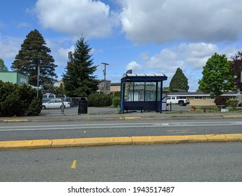 Kirkland, WA USA - Circa June 2020: Street View Of A King County Metro Bus Stop Near A Strip Mall On A Sunny Day.