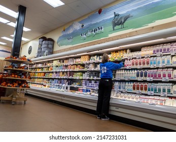Kirkland, WA USA - circa March 2022: Angled view of an adult woman worker inside a Trader Joe's grocery store, restocking the dairy department.