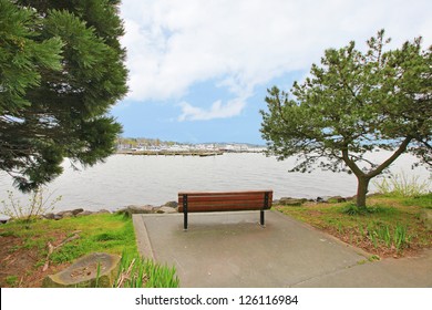Kirkland waterfront with bench. Wa state.