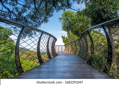 Kirstenbosch Boomslang Walkway In Cape Town