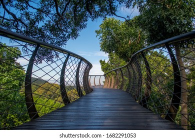 Kirstenbosch Boomslang Walkway In Cape Town