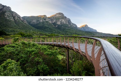 Kirstenbosch Gardens At Sunset