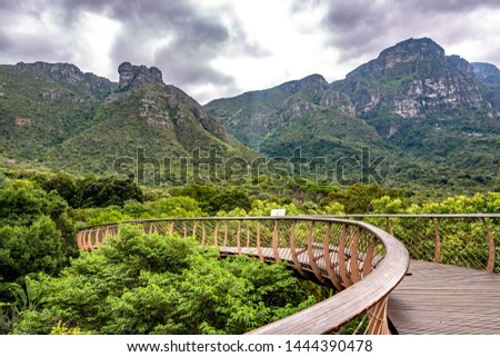 Kirstenbosch National Botanical Garden is acclaimed as one of the great botanic gardens of the world. Located in Cape Town, South Africa, the new tree top canopy walk is a tourist favorite.