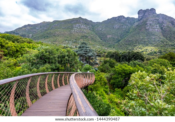 Kirstenbosch National Botanical Garden Acclaimed One Stock Photo