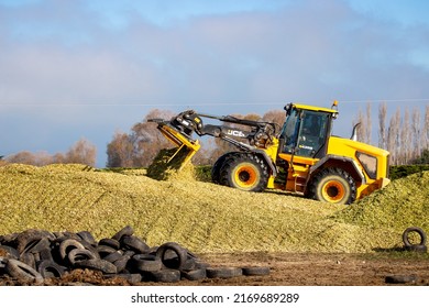 Kirwee, Canterbury, New Zealand, 5 April 2022: A local contractor uses a JCB machine to pile up maize silage for winter feed on the farm
