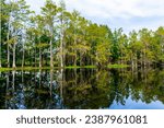 Kissimmee Florida Adventure Lake with Kayak