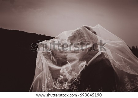 Similar – sad bride in wedding dress and long veil