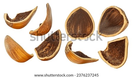 Kit. hazelnut shells. Depth of field. Isolated. On an empty background.