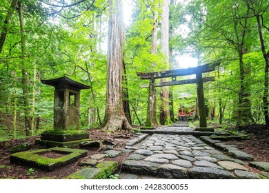 Kitano shrine torii gate, nikko, unesco world heritage site, tochigi prefecture, honshu, japan, asia - Powered by Shutterstock