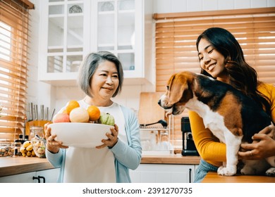 In the kitchen, an Asian family, including the grandmother and daughter, enjoys playful moments with their Beagle dog. The joy, togetherness, and owner-pet friendship are heartwarming. - Powered by Shutterstock