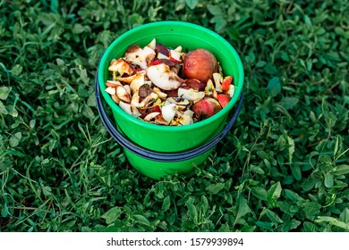 Kitchen Bin With Apple Leftovers (scraps, Peelings). Fruit Waste In Garbage Can, Throwing In The Garden As Organic And Ecological Fertilizer. Conception Of Composing And Recycling Food Waste. Compost