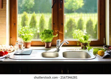 Kitchen counter with sink, potted herbs and fresh products near window on sunny morning - Shutterstock ID 2167346281