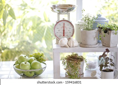 Kitchen Garden Of Herbs Windowsill