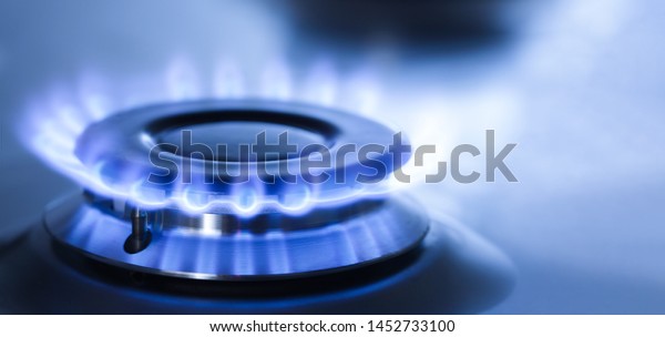 kitchen gas\
cooker with burning fire propane\
gas