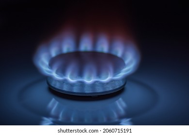 Kitchen gas stove burner with blue flame, natural gas market concept.
