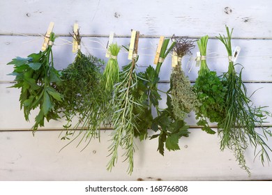 Kitchen Herbs