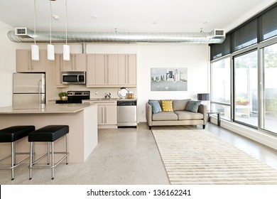 Kitchen and living room of loft apartment
