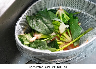 Kitchen Sink Triangle Food Scraps.