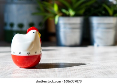 Kitchen timer shaped like a chicken on a sunny kitchen counter top