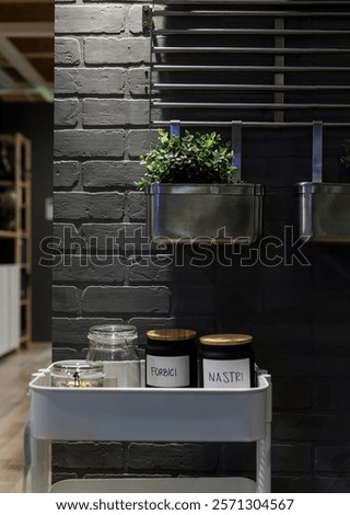 Similar – Image, Stock Photo Potted plants in trolley in greenhouse