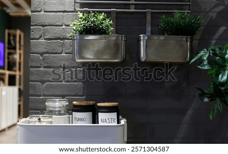 Similar – Image, Stock Photo Potted plants in trolley in greenhouse
