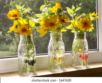 Kitchen Window Sill