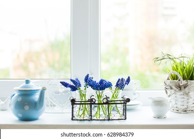 The Kitchen Window Sill