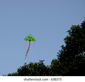 Kite