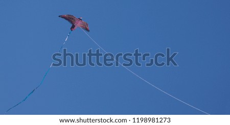 Similar – Image, Stock Photo A red kite flies as an octopus in the sky