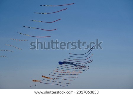 Similar – a colorful garland blows in the wind on the north sea