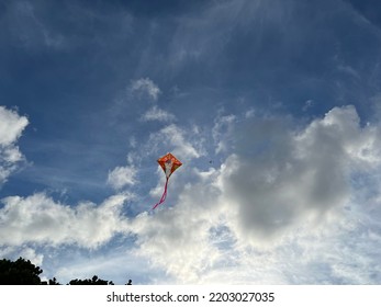 Kite Flying Blue Sky Photography