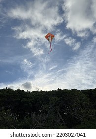 Kite Flying Blue Sky Photography